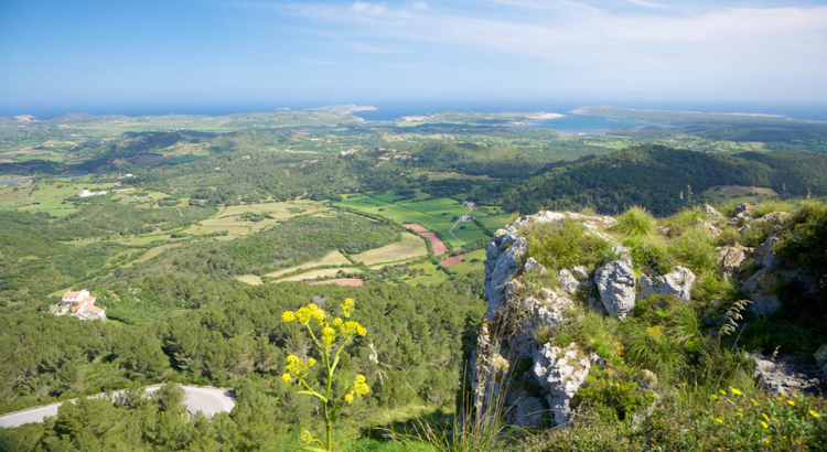 Menorca grüne Landschaft
